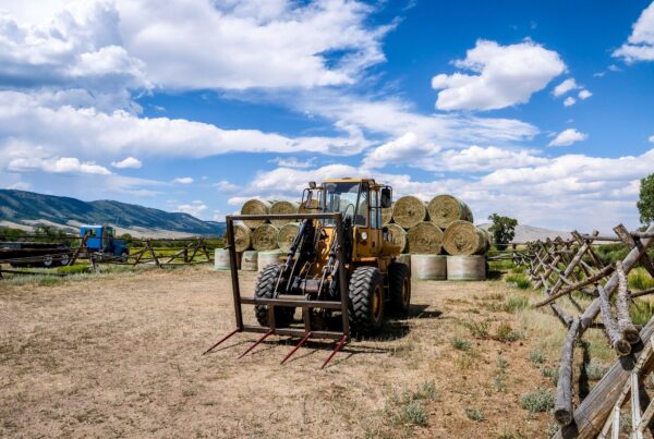 Farm and Ranch Insurance