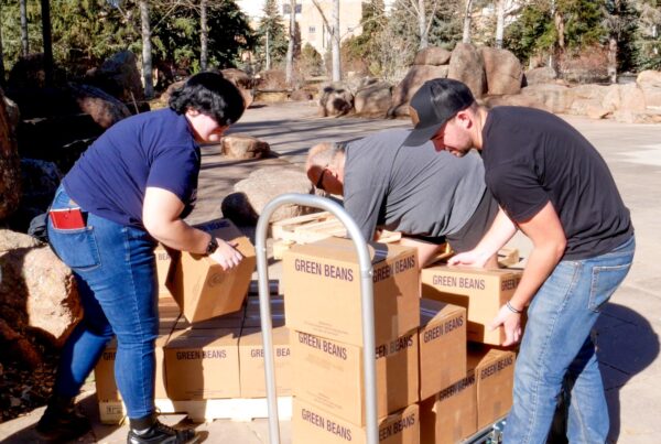 Non-Profit Insurance